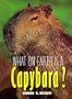 What on Earth Is a Capybara?