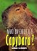 What on Earth Is a Capybara?