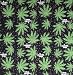 Marijuana Bandanna