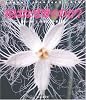 花はなぜ咲くのか? (Nature Discovery Books)