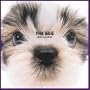 Artlist Collection the Dog: Shih Tzu 2005 Calendar