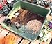 All-Purpose Tidy Tray and Gardening Cady