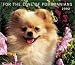 pomeranian28  - Pomeranians For the Love of 2002 Deluxe Wall
