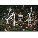 Light Up Lawn Skeleton