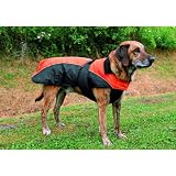 Tcoat Nizza, Hundemantel, L, 60cm, orange-schwarz