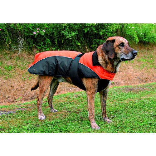 Tcoat Nizza, Hundemantel, L, 60cm, orange-schwarz