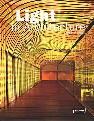 Light in Architecture (Architecture In Focus)