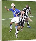 Box Canvas Print of Football - Everton v Newcastle United - Barclays Premier from Everton ePhoto