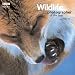 Wildlife Photographer of the Year: Portfolio 15