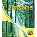 Sunshine  (Watching the Weather)