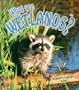 What Are Wetlands? (Science of Living Things)
