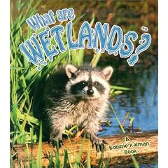 What Are Wetlands?