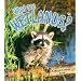 What Are Wetlands? (Science of Living Things)