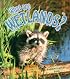 What Are Wetlands? (Science of Living Things)