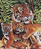 PENCIL BY NUMBER KIT 10X12-TIGER AND CUBS