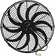 Zirgo ZFB16S Blu 16 3000 cfm High Performance Cooling Fan