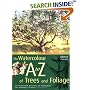 The Watercolour A to Z of Trees and Foliage