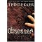 Exciting Christian Novels