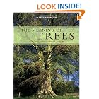 Click here to buy The Meaning of Trees: Botany, History, Healing, Lore by  Fred Hageneder.