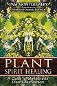 Plant Spirit Healing: A Guide to Working with Plant Consciousness