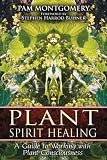 Plant Spirit Healing: A Guide to Working with Plant Consciousness