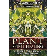 Plant Spirit Healing: A Guide to Working with Plant Consciousness