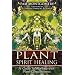 Plant Spirit Healing: A Guide to Working with Plant Consciousness