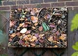 Review Eyes Wide Digital Ltd  / Forest Floor Outdoor Artwork