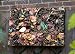 Kitchen & Housewares : Forest Floor Outdoor Artwork