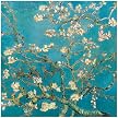 Almond Blossom Poster - 27.5x27.5"