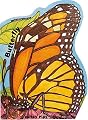 Butterfly (Metamorphoses)