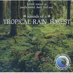 Sounds of the Tropical Rainforest