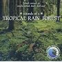 Sounds of the Tropical Rainforest