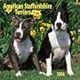 American Staffordshire Terriers 2006 Calendar
