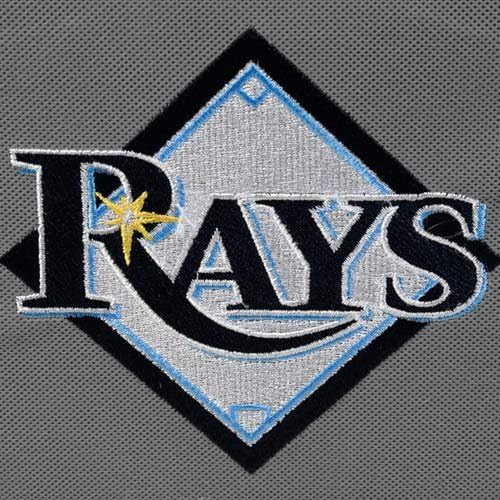 MLB Tampa Bay Rays Fabric Storage Cube, One Size, Gray