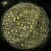 Music : Dance Gavin Dance