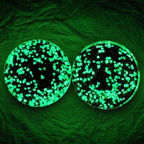 Glow in the Dark Single Flare Glass Plugs Ear Gauges 14mm 9/16" Set 44