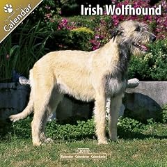 Kalender 2011 Irischer Wolfshund - Irish Wolfhound