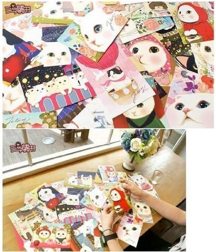 New Fashion Greeting Postcards (Jetoy Cat(40pcs))