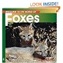Welcome to the World of Foxes (Welcome to the World Series)