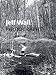 Books : Jeff Wall: Photographs