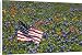 Canvas Prints of American Flag in from Danita Delimont