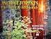 Ancient Forests 2010 Calendar: Big Trees & Redwoods