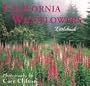 California Wildflowers (California Littlebooks)