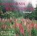 California Wildflowers (California Littlebooks)
