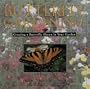 Butterfly Gardening: Creating a Butterfly Haven in Your Garden