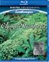 Living Landscapes: Earthscapes - Olympic Rainforest [Blu-ray]
