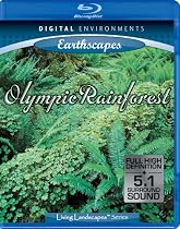 Earthscapes - Olympic Rainforest Streaming.