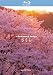 THE 5.1CH SURROUND virtual trip さくら nostalgia [Blu-ray]