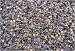Buckwheat Fill
